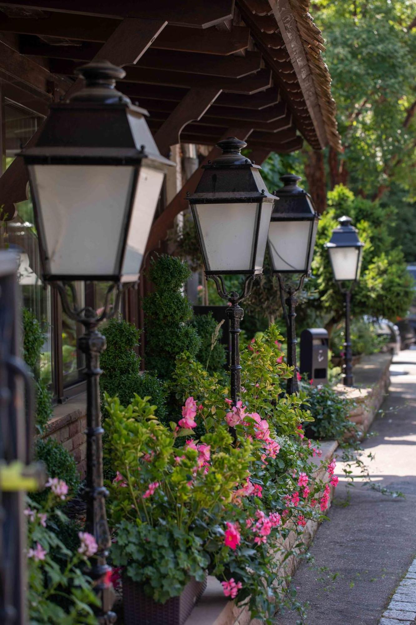 Hotel Restaurant Au Boeuf Blaesheim المظهر الخارجي الصورة